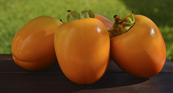 Kakifrugter Persimon 18 kg - Pris 53 €