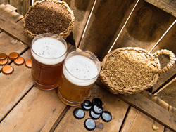 Håndværksøl - WAI - Valencia craft beer online