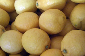 Køb citroner - Valencia lemons online