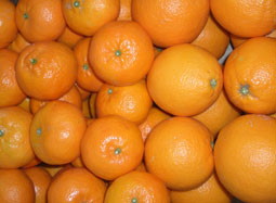 Køb kasse med blandet frugt - Valencia oranges and mandarins online