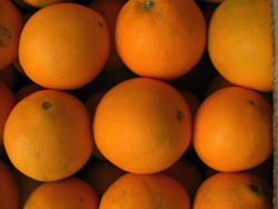 Køb appelsiner online - Valencia oranges online