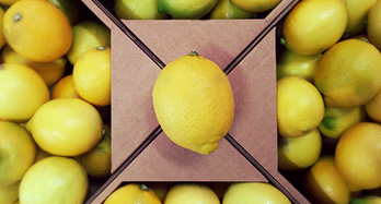 Citroner 10 kg
