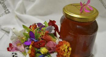 Tusind blomster honning 1 kg - Pris 16 €