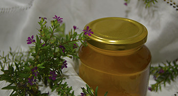 Timianhonning 1 kg - Pris 16 €