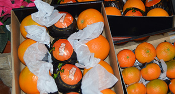 45 appelsiner og 28 mandariner Gourmet - Pris 60 €