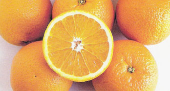 Appelsiner Valencia 15 kg